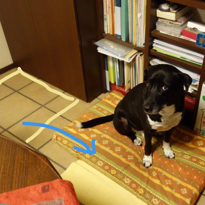 54cc5e38 0e65 4cc2 a933 4dc960c29325 1665055607718