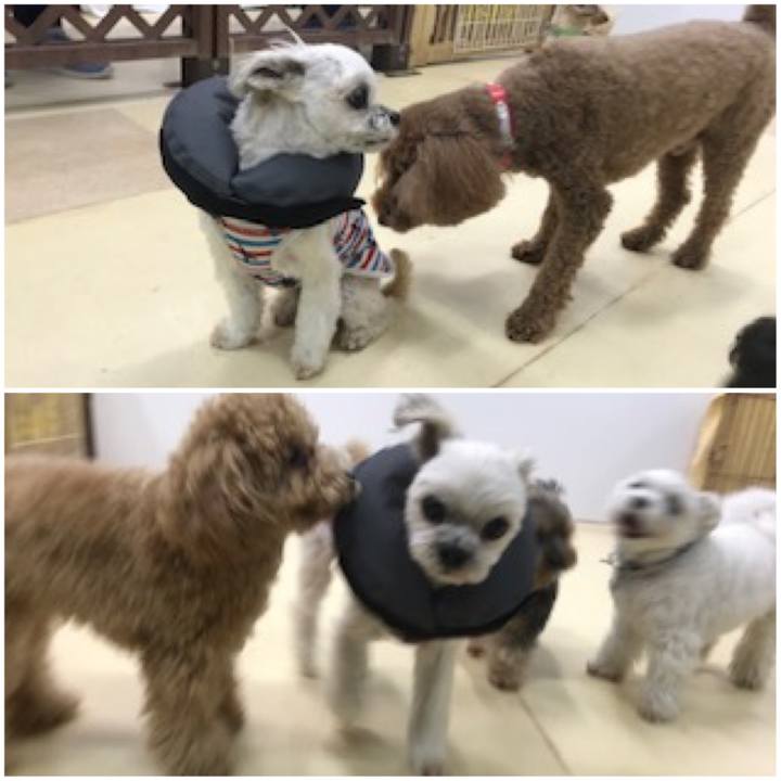 54cccbad 23fc 482b 8a6b ec142e3ae6a8 1573217023039