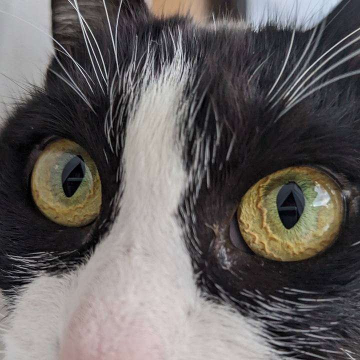 54cd1705 17a3 4b68 a1e3 f99c091ed0be 1674020047374