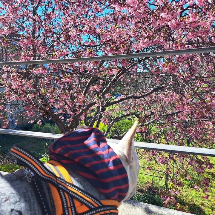 54cd47d0 daf8 42ab 8968 64155a653428 1711523874280