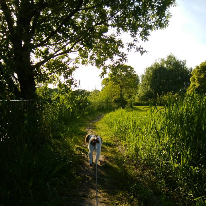 54cd6132 ea73 4a3f 9873 a66252bf044a 1526039700594