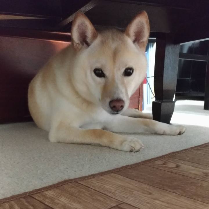 54cd9f83 4909 4235 829e d71484fda778 1530181622570