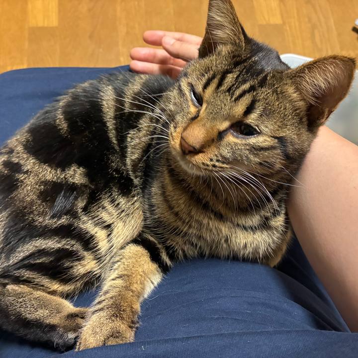 54cdc0e5 a057 4f81 95b1 75904ece79cf 1761597229063