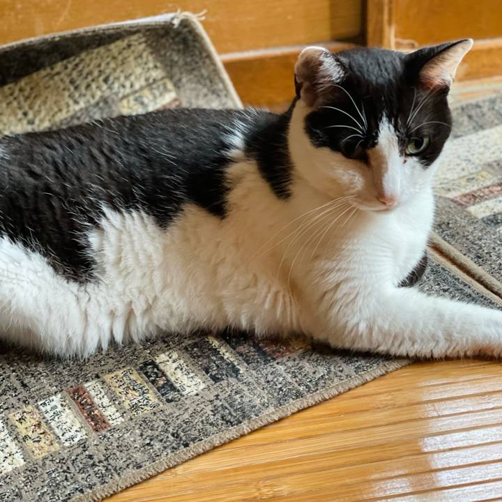 54cdd2a4 47de 43db ae6b cd16050a0def 1662689595399