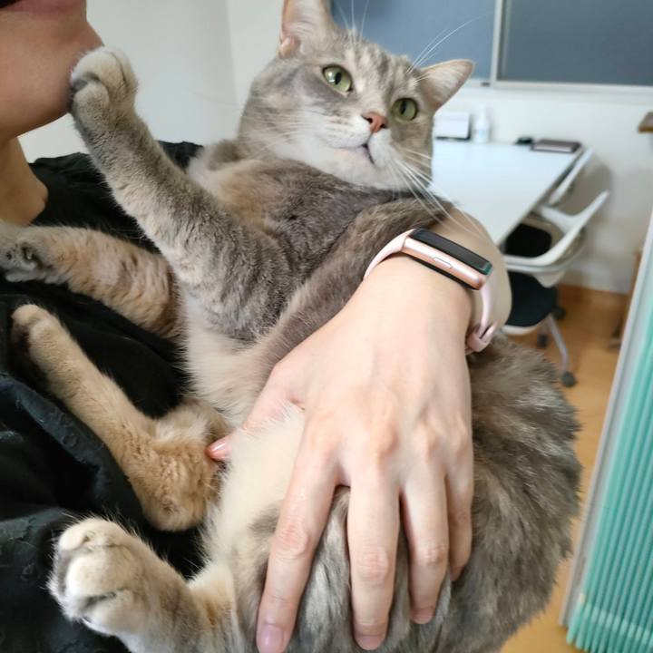 54ce14a1 34ac 4c05 8b69 ee3126b59cd9 1655782918969