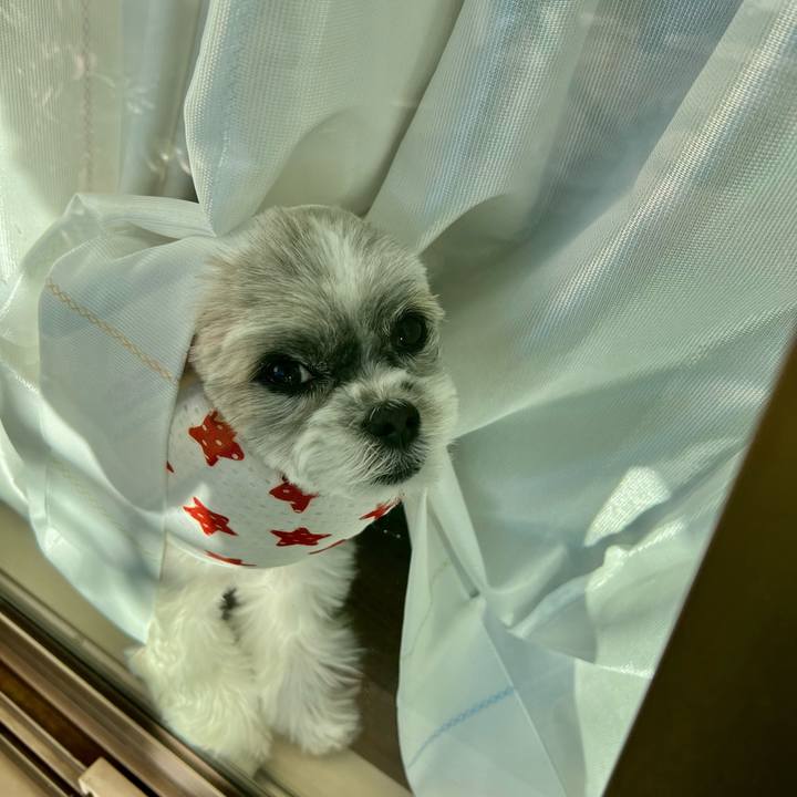 54ce161f 902e 4d11 8ec2 ff5dec012783 1640575585227