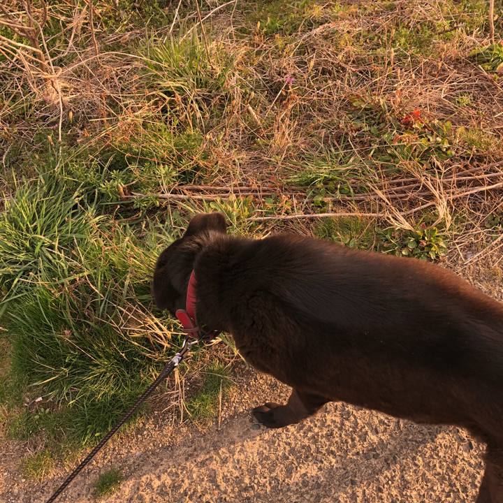 54ce1778 76f7 459a a952 688e9d884eb5 1552807812508