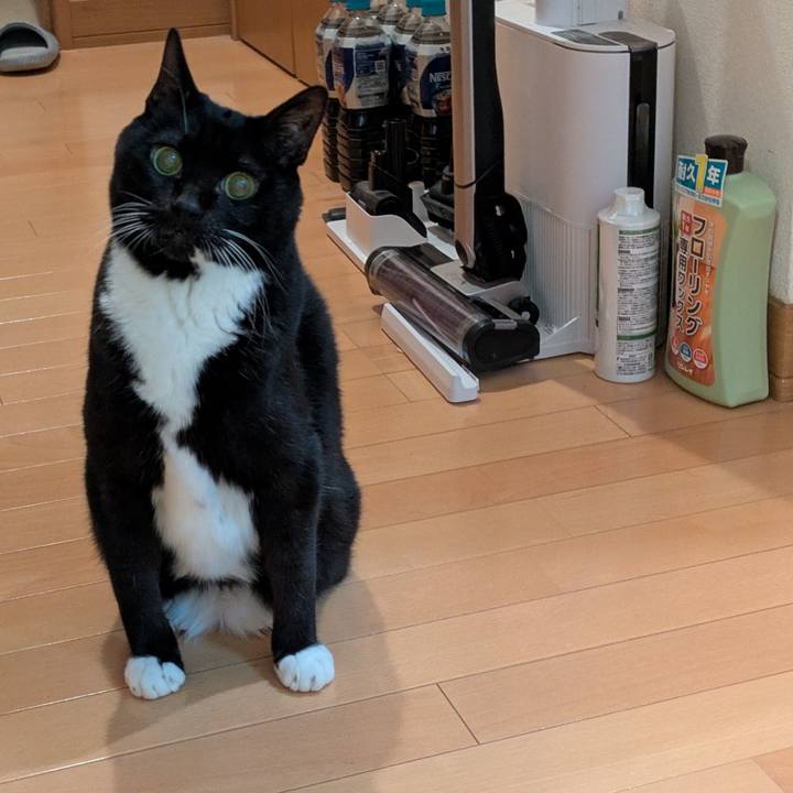 54ce391f 1c5b 41d9 bd37 7f1894ced438 1763899692169