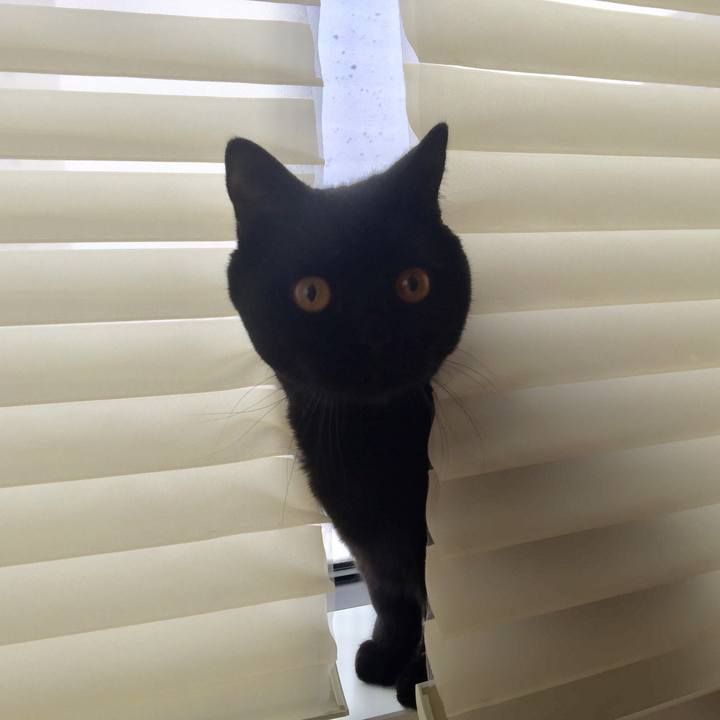 54ce905a 6b83 4869 afcf e8dc811e7410 1518393485511