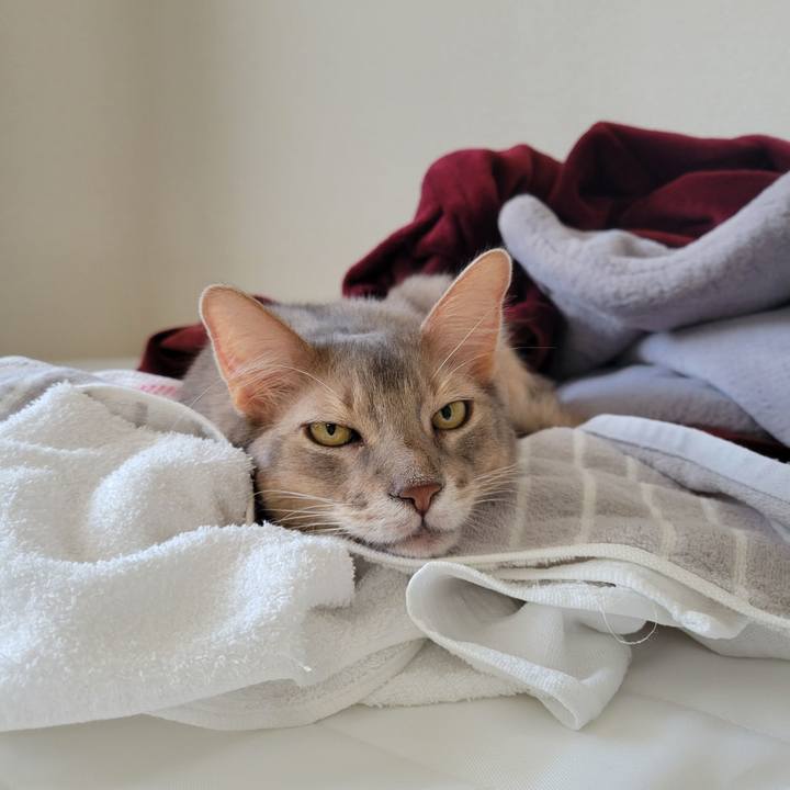 54ceb41c 6473 4980 9789 93d1bc620759 1698021887010