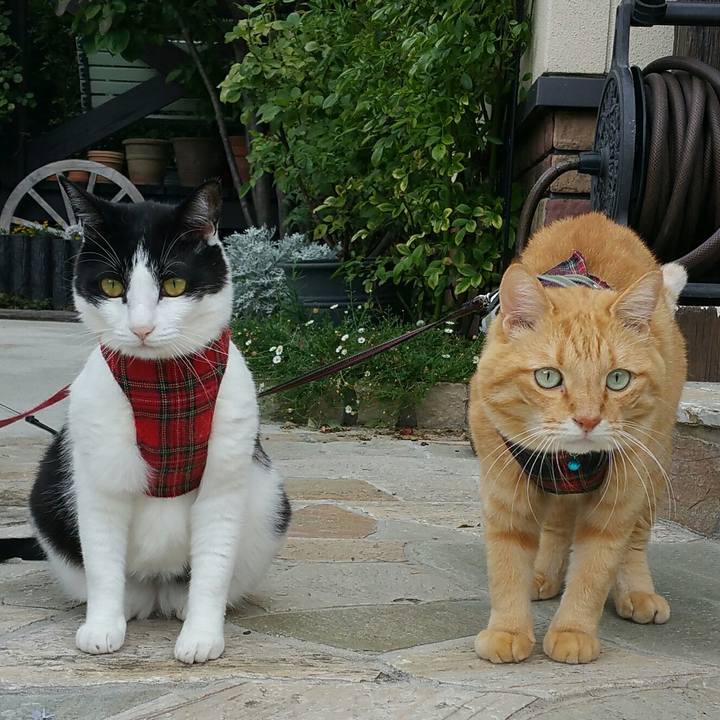 54cebfe2 5f7b 42c4 87a8 8d404ccfea62 1569368568629