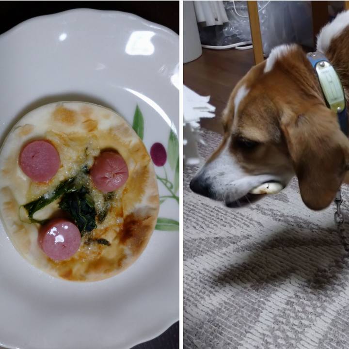 54ced823 ced8 4577 b9b1 1be449f4b882 1611131493630