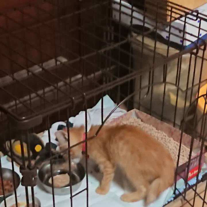 54cee455 53c7 43ae 99ff 891507756eac 1628157073033