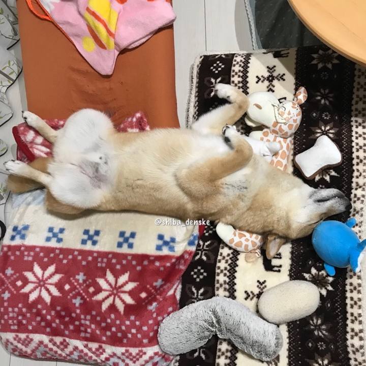 54cefb42 76a4 421c 8bf8 3f5a38a9fc2b 1525097480100