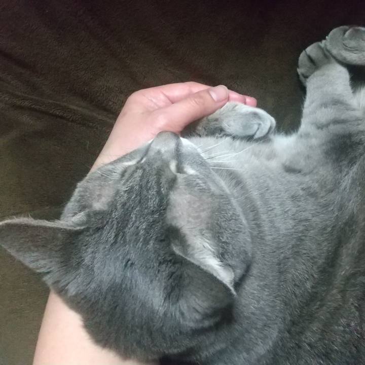 54cf6aad 2288 429c b9f9 8ab7a917a591 1641299862781