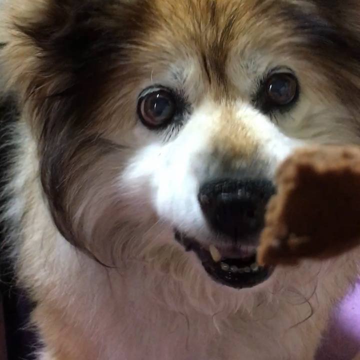 54cfbea5 6614 4c90 96fa 456c134870b1 1589883663217