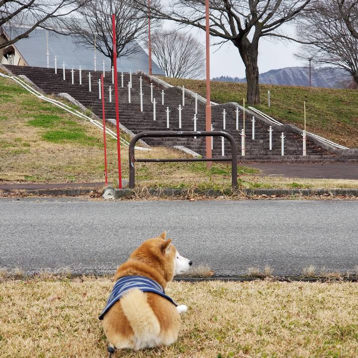 54cfca63 6de6 4994 8bed bcdac06084f2 1671079533979