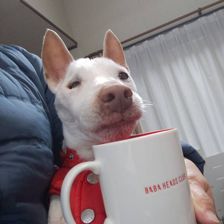 54d01a19 fe46 456b bcab 59ebca108ac7 1586578513052