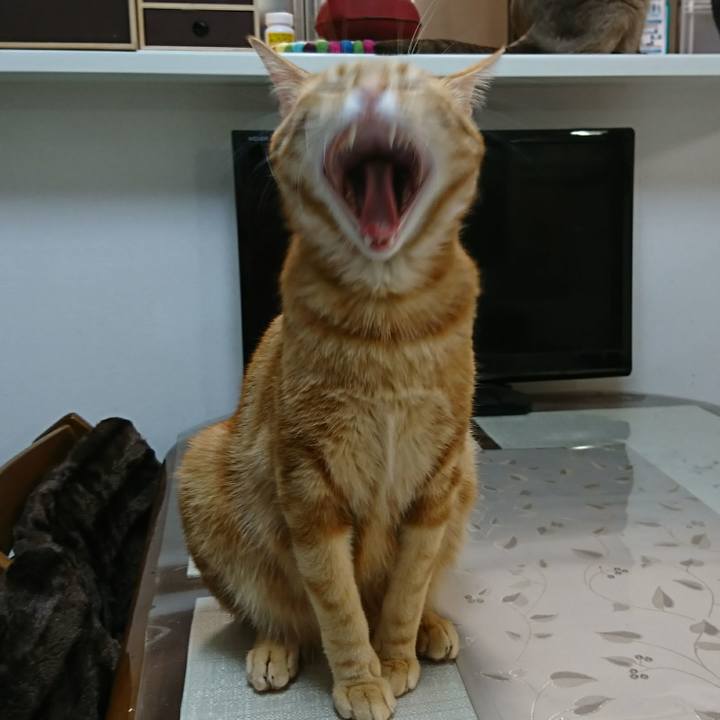 54d020aa 1e77 4983 b0e4 d09fb0dbf6cc 1513950034248