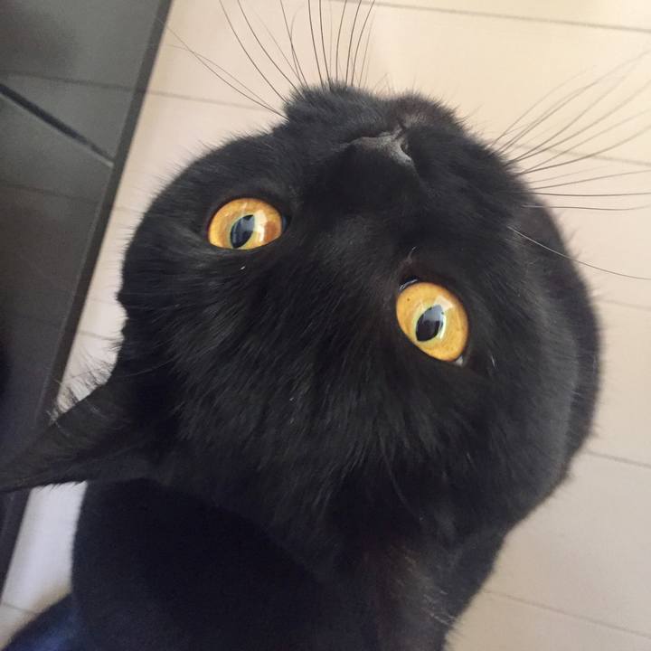 54d0223d f3f6 40f4 b2d7 090813da011f 1581940101428