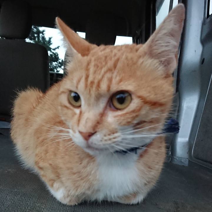 54d04694 79b6 4adb 903b 8c193a875a11 1560938081419