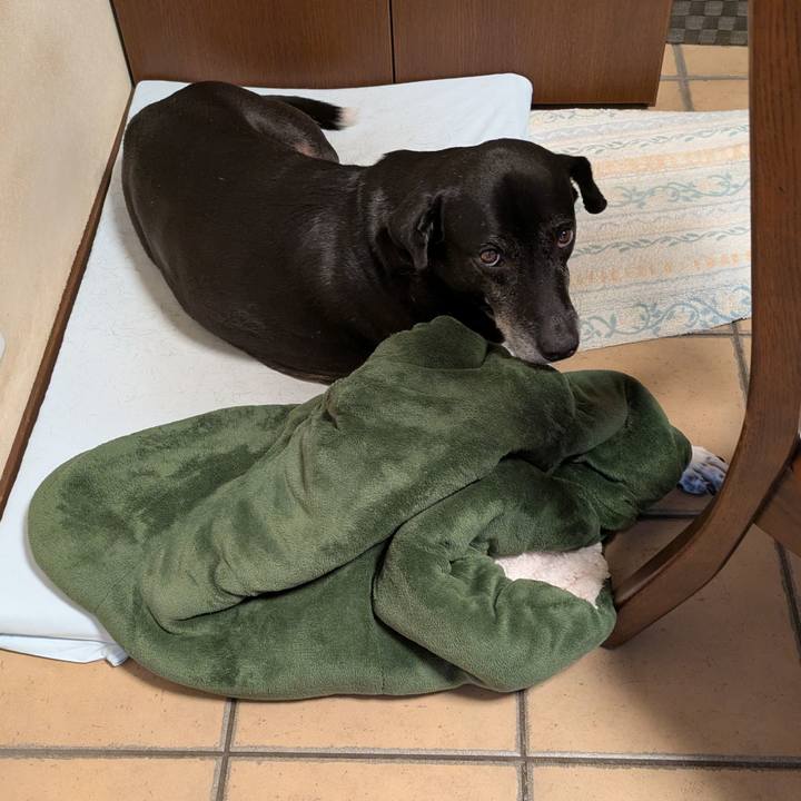 54d0764b 9eb9 4fa9 9007 50212c5fade2 1754601164062