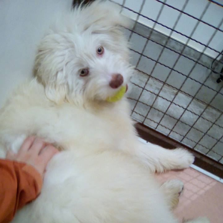 54d0854c cd24 478f b404 c7047f211dd9 1512913325344