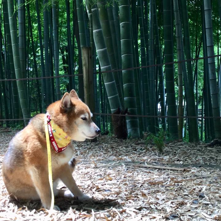 54d088f4 8157 44f0 a287 3d6b96fd4063 1624248035053