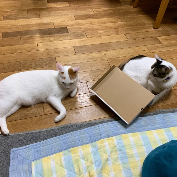 54d0a3e9 2158 4c24 892d f7d32ffbc936 1556622242570