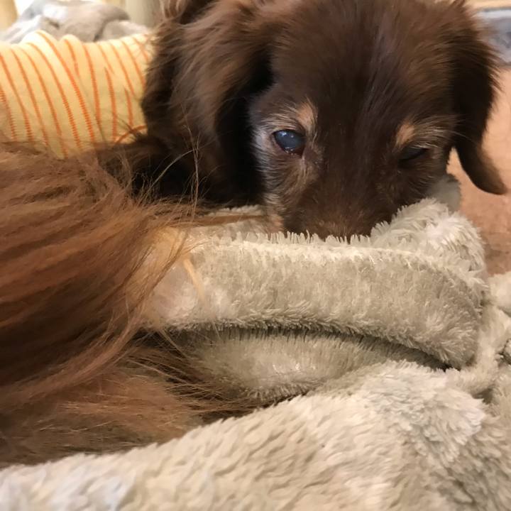 54d0c6c3 1299 48da 9f2a 550227557ebb 1544336918740