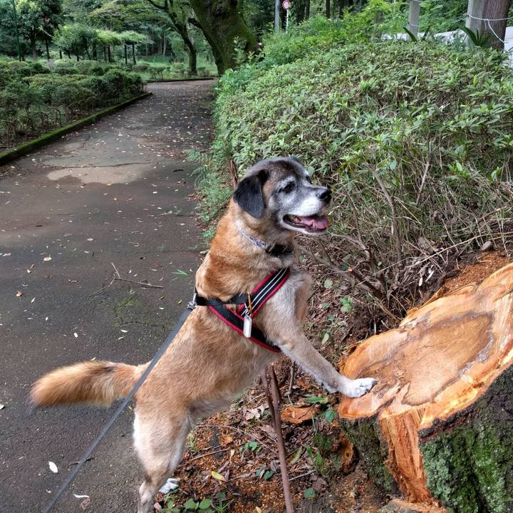 54d0ccb5 d5ef 4f13 b01d 1431cd8d0c5d 1736381515016