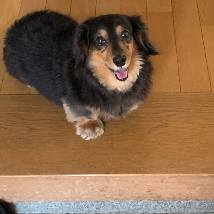 54d1081a 92cc 488c b130 d63559462792 1560037931530