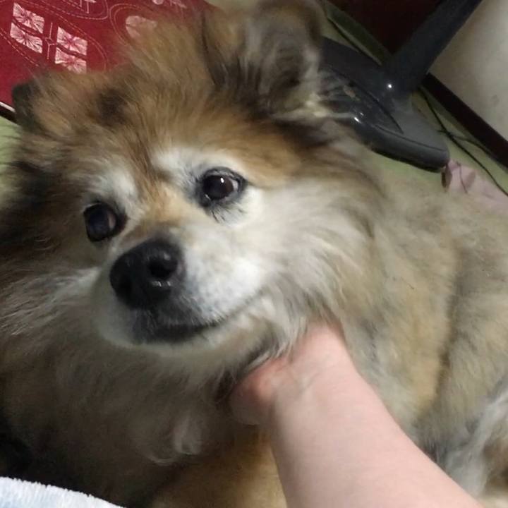 54d122c2 abe3 4962 af0a a3fc76b3144e 1550227244990