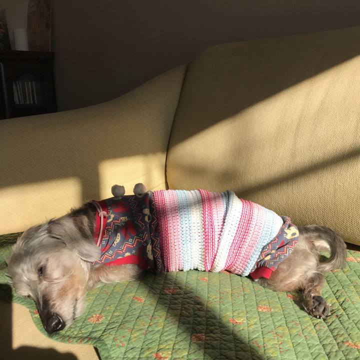 54d12813 f736 49ea bbc9 45b53127f28f 1513211049525