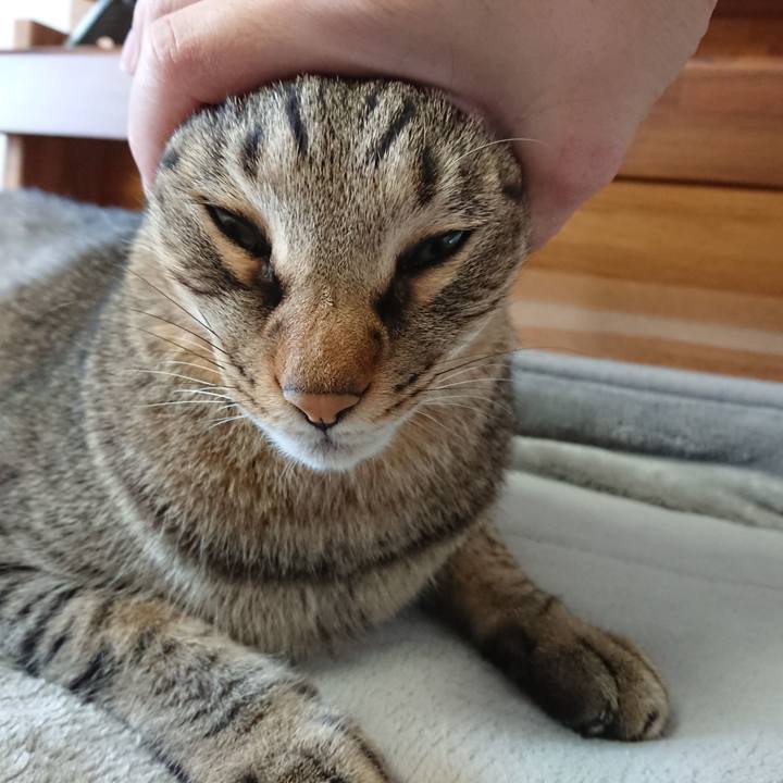 54d14f0a 576a 4aa1 a526 b6526d748d3a 1572659152080