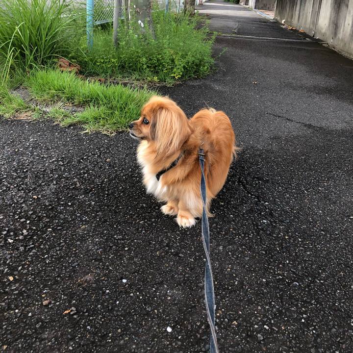 54d15148 0217 4fe2 9992 5ce50951f587 1567721251439