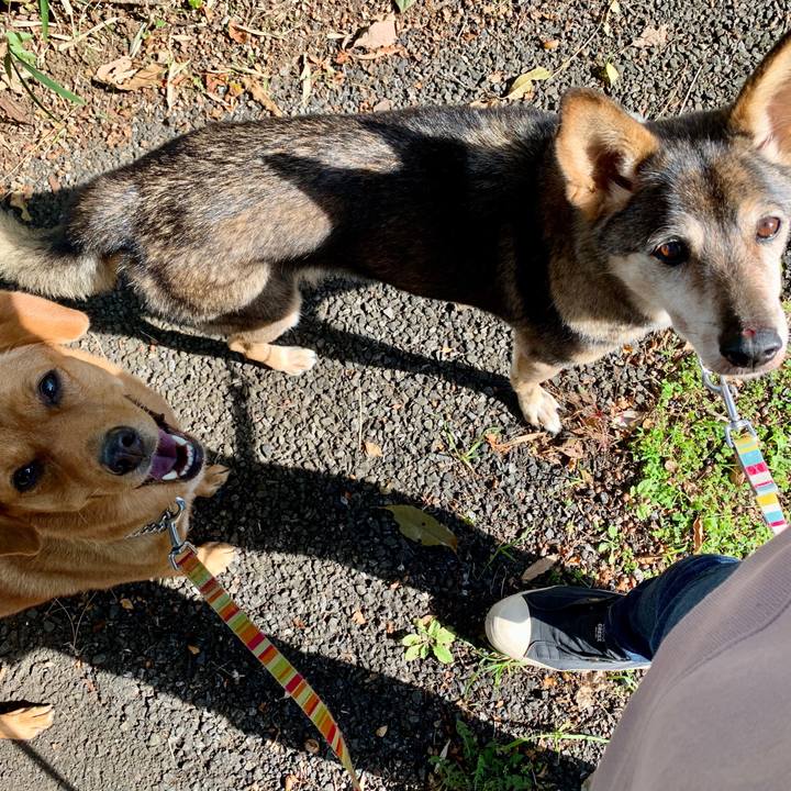 54d166fe 8433 4867 9c16 89ffae725186 1573090365873