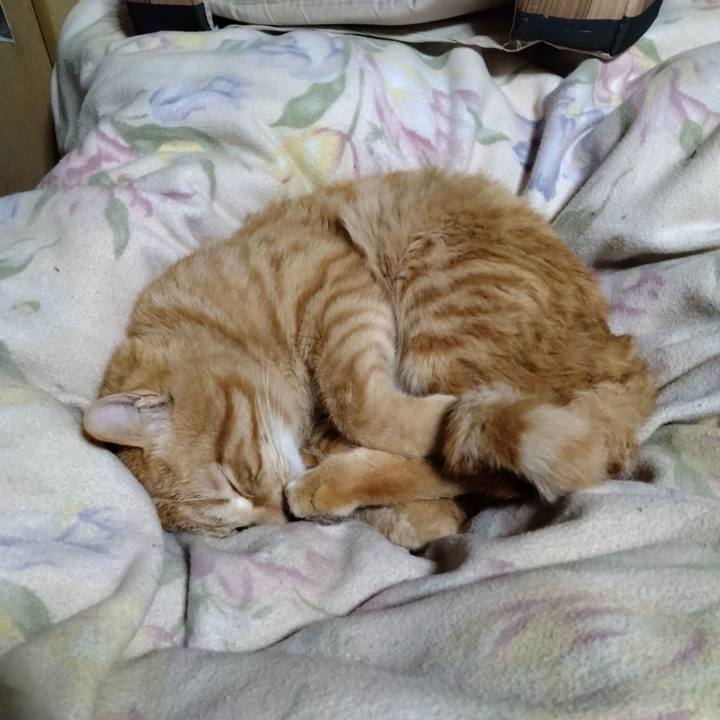 54d210a1 c187 4f21 8358 1c4576ab2729 1678365164982