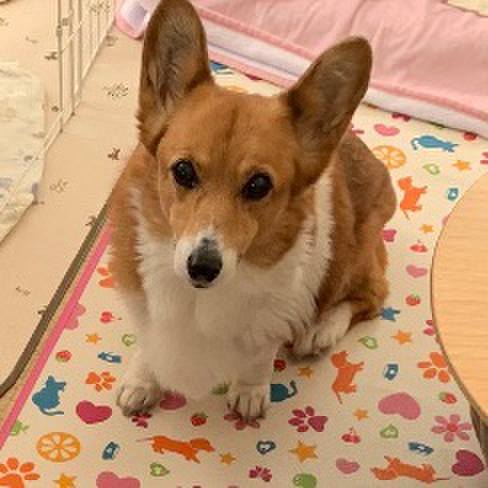 54d24b4d 7acf 463c 995b 1187e8fff2db 1707810778239