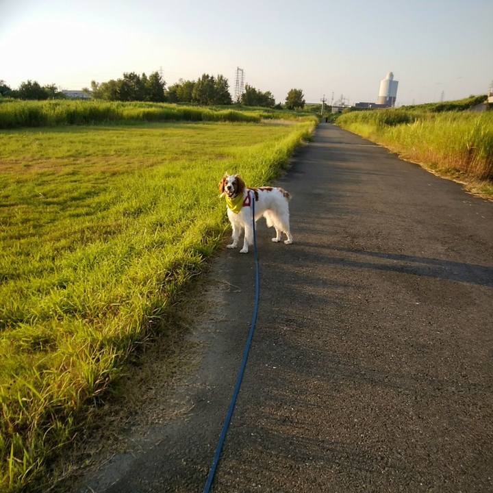 54d25b74 59c7 479a 8a5d 0bb2418a5d89 1566042251713