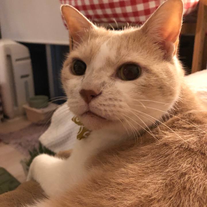 54d262ac 9984 4e22 8530 6028497c302f 1571143681723