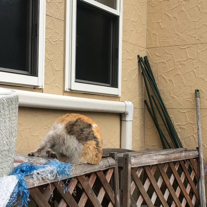 54d26350 327a 4d25 a88b bbd5fc4e9c2c 1583134213603