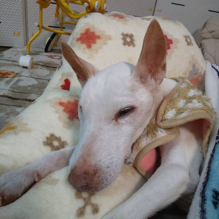 54d266a8 78e7 4503 a88e a97ceebc323c 1607768451086