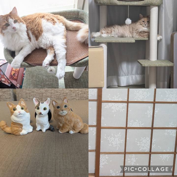 54d2d36b 2c95 45dd b209 f774346ef3fe 1757897346032