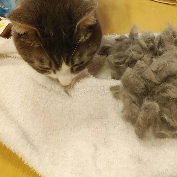 54d2ec15 7169 4f39 8e2a 2637d01d6c0d 1582295824196