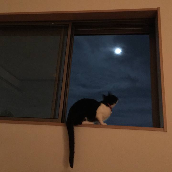 54d2fd42 beca 4207 b330 eba0527fbdc7 1530200047132