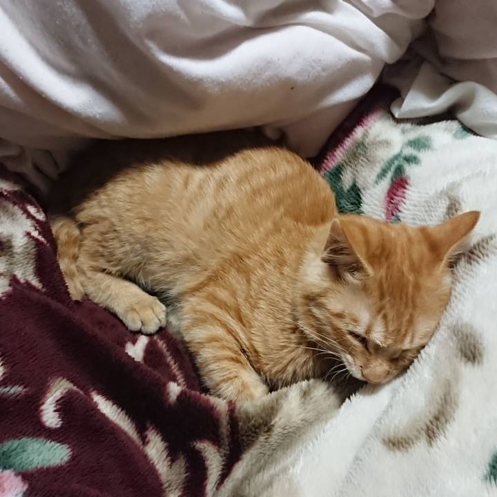 54d32133 32e9 49a5 b5a9 bcba6f087e83 1634474524284