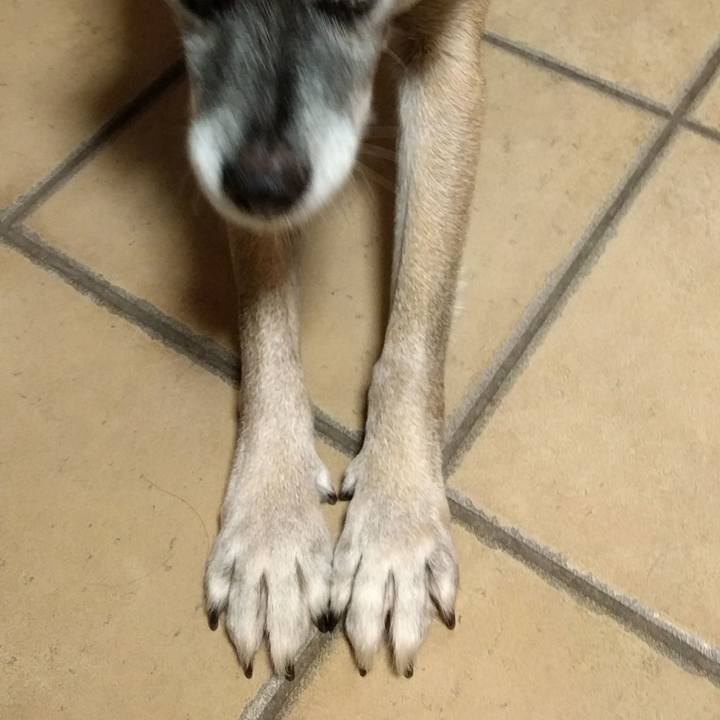 54d3563b 4960 42c0 b262 0bd5f463a369 1508815647002