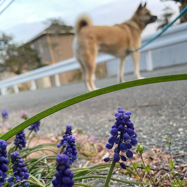 54d38246 0f88 48a9 a480 79206aa9803c 1678884527675