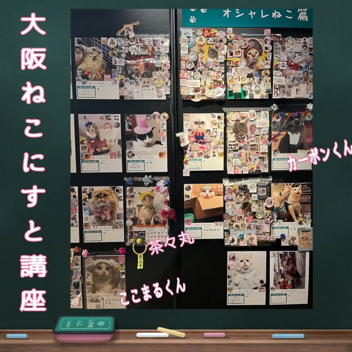 54d387b2 31d5 434c 8eb8 aee666e6ac66 1636929243351